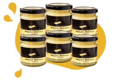 Gelée Royal im Honig Vorteilsset bei 6 Gläser -8% Mengenrabatt