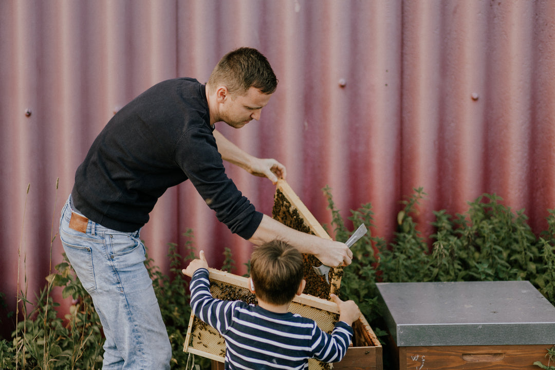 Vater und Sohn beim Imker. Das macht einen kleinen Familienbetreib aus. Generation übergreifendes Imker Wissen wird so schon den kleinsten weitergegenen.