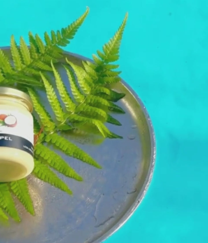 Kokoshonig Tropischer Honig mit Kokos