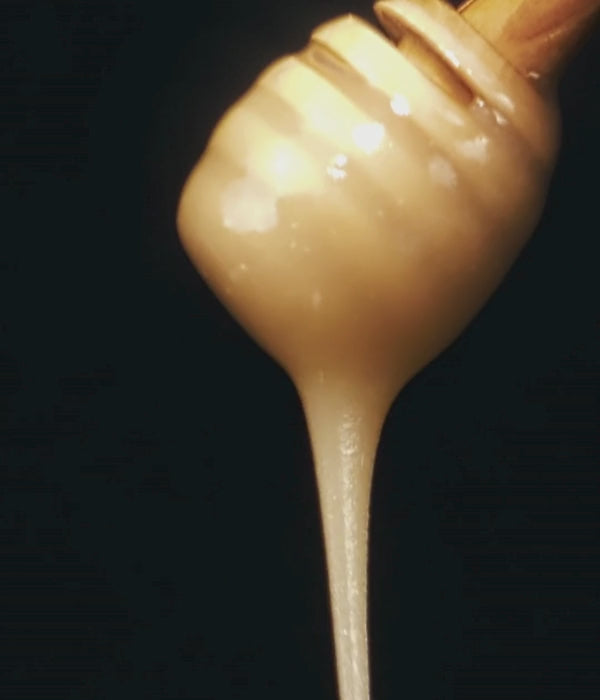 Manuka Honig vom Imker aus Neuseeland