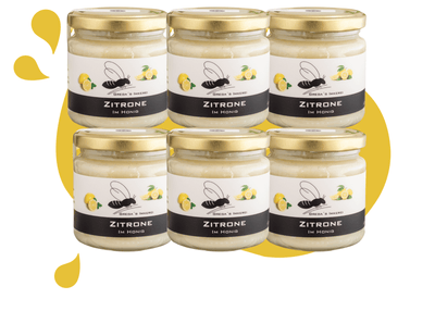 Zitrone im Honig 6er Vorteilsset