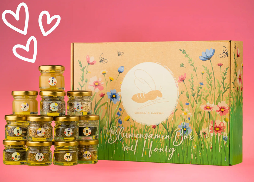 Blumensaaten Box