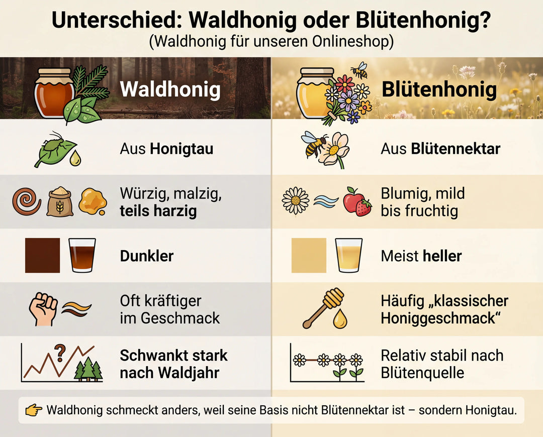 Infografik: Unterschied Waldhonig zu normalem Honig