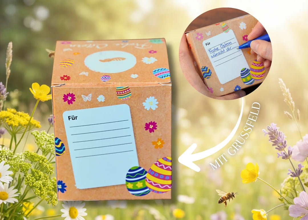 Rückseite Oster box 1er