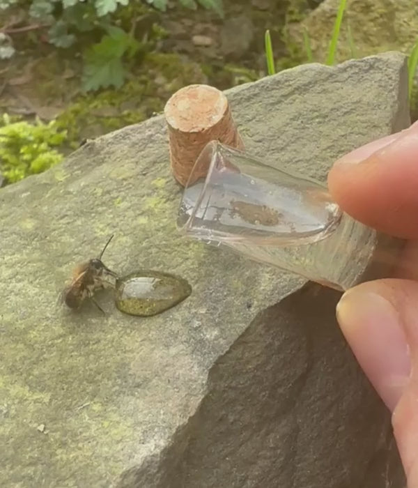 Nahaufnahme der Ersatzflasche Bienenfuttersirup auf natürlichem Untergrund, umgeben von Gartenblumen, symbolisiert Einsatz im Freien.