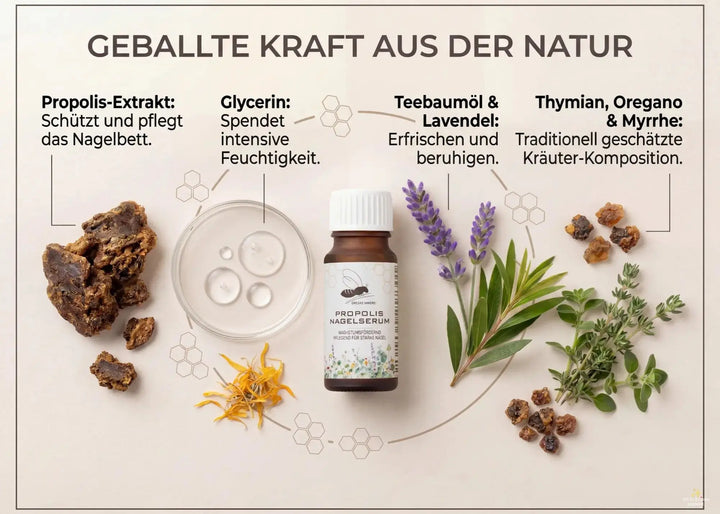 Nagelserum mit Propolis 